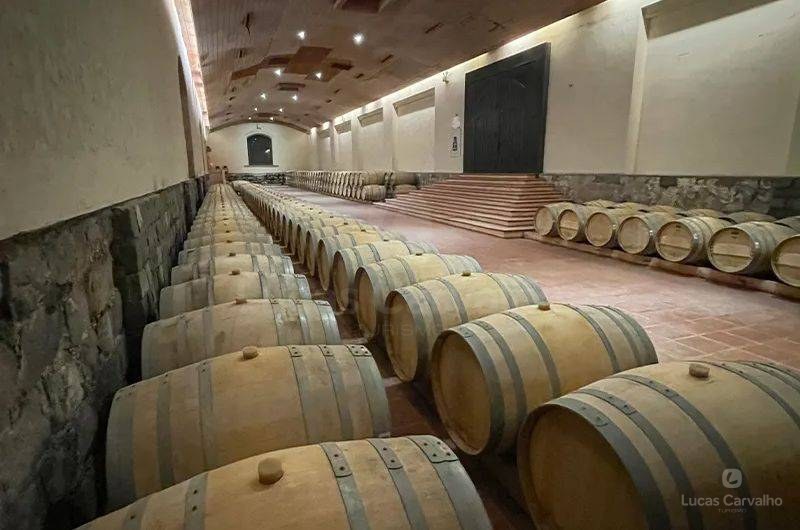 Concha y Toro Noite: Casillero del Diablo