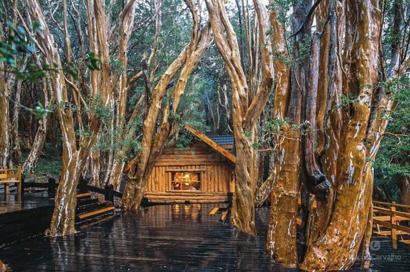 Isla Victoria y Bosque de Arrayanes: Vip