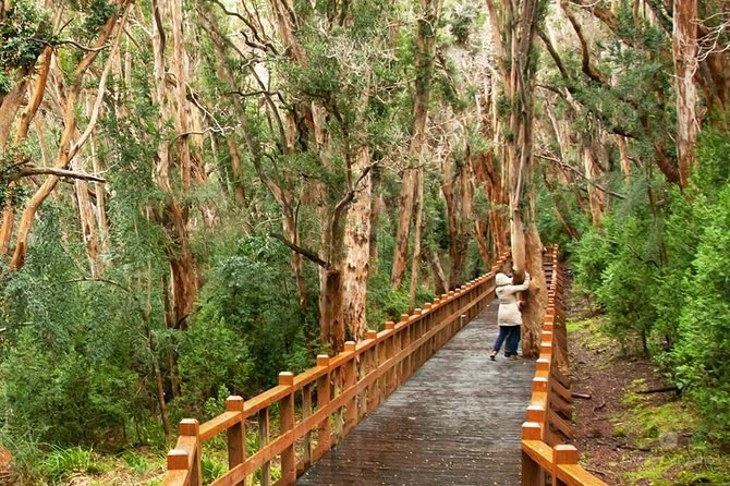 Isla Victoria y Bosque de Arrayanes: Vip foto 2