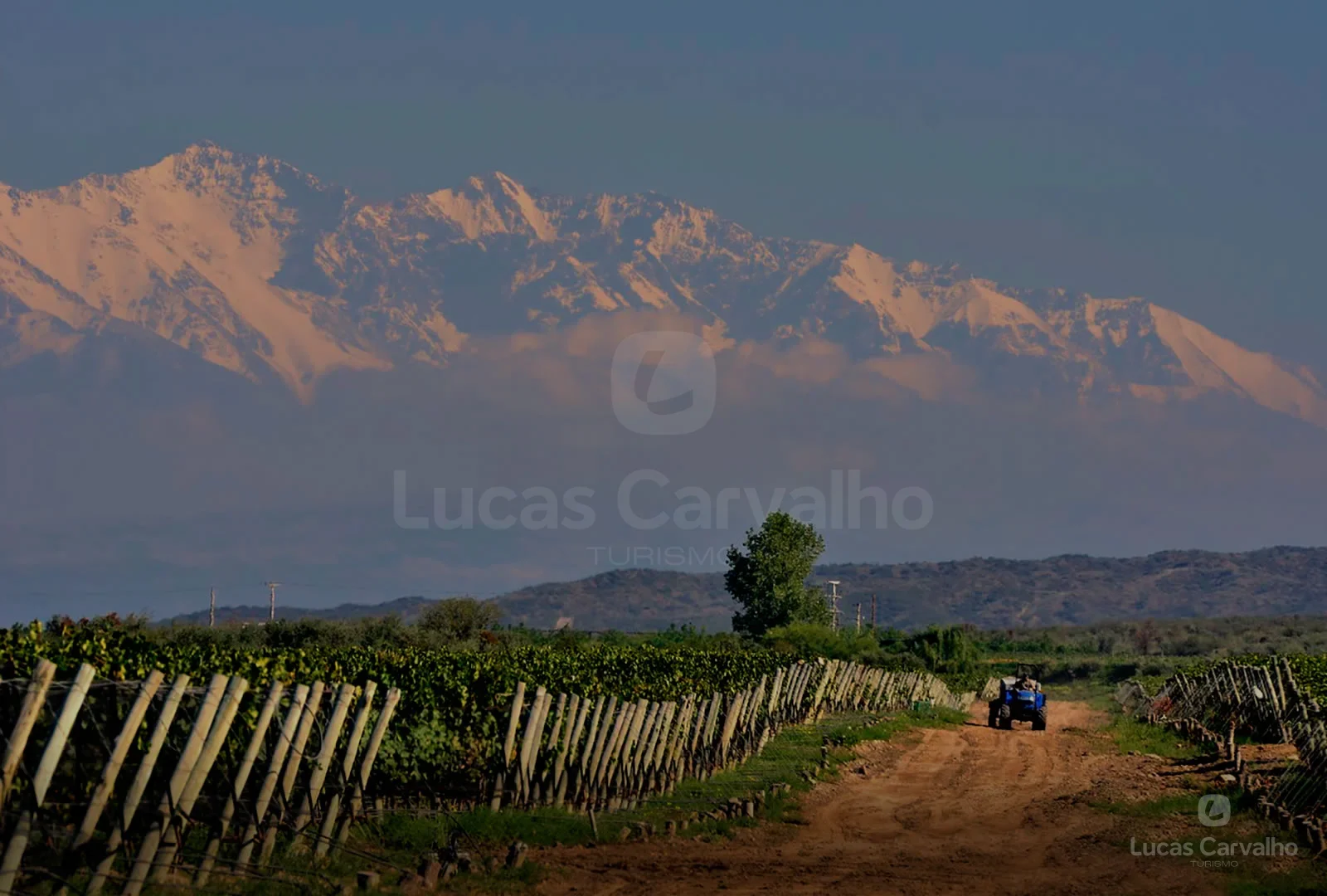 Valle de Uco: Andeluna e Salentein