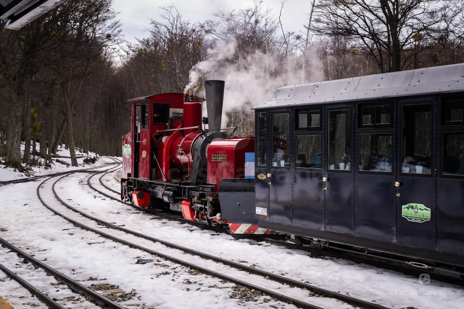 Trem do Fim do Mundo em Ushuaia: Classe Premium foto 2
