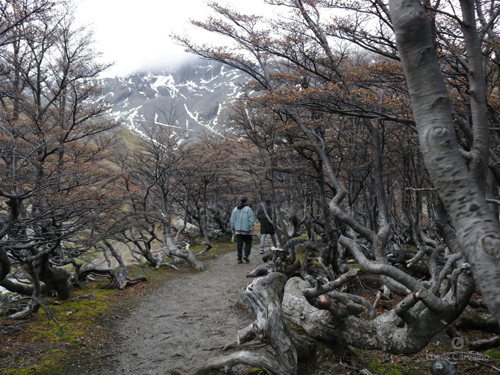 Trekking Glaciar Martial foto 2