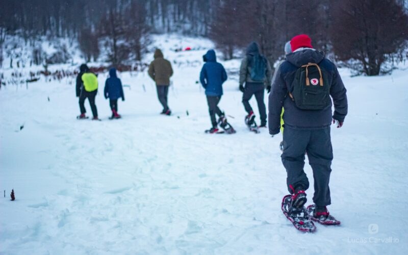 Mini Aventura e Neve Park Austral: Moto de Neve + Almoço Buffet livre com Cordeiro Patagônico foto 3
