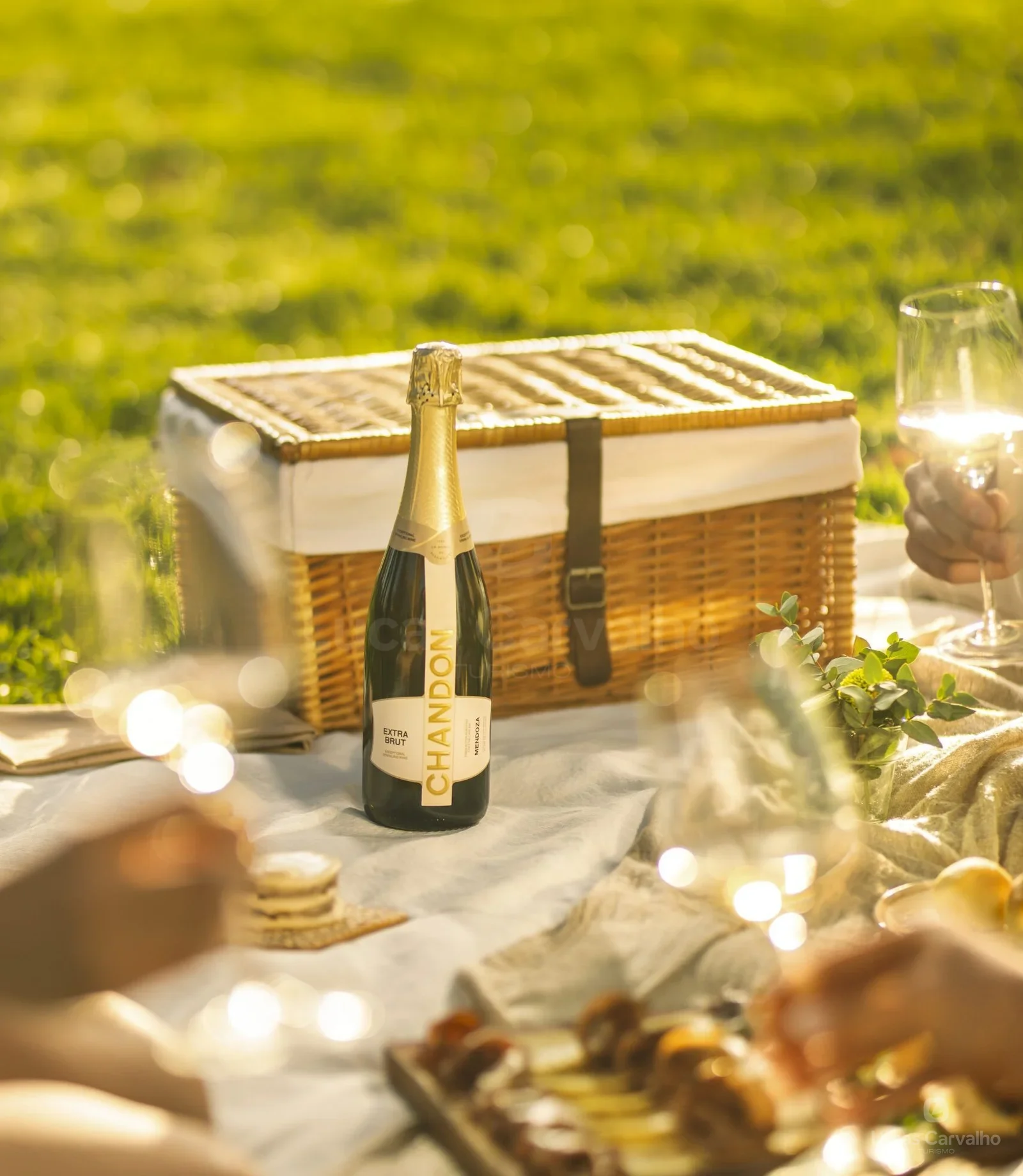 Bodega Chandon: Picnic Gourmet