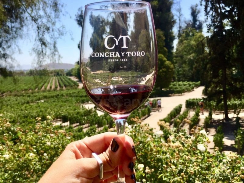 Vinícola Concha y Toro: Tour do Marqués foto 1