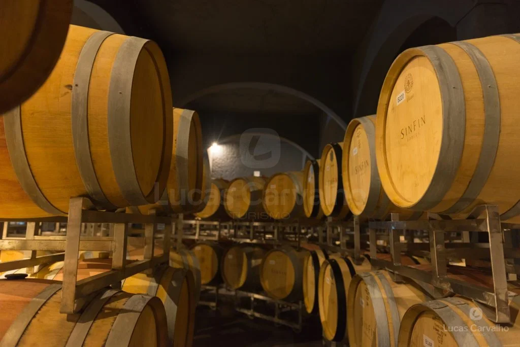 Full Day Maipú: Vinícolas e Almoço