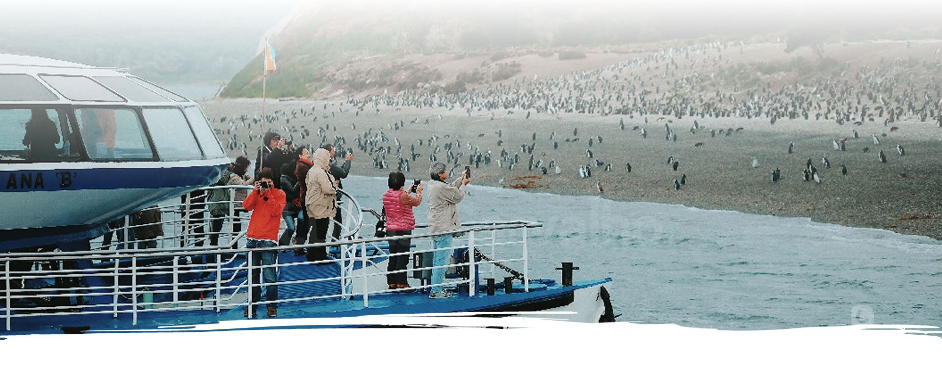 Navegação Pinguinera foto 2