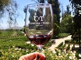 Centro Del Viño Concha y Toro foto 3