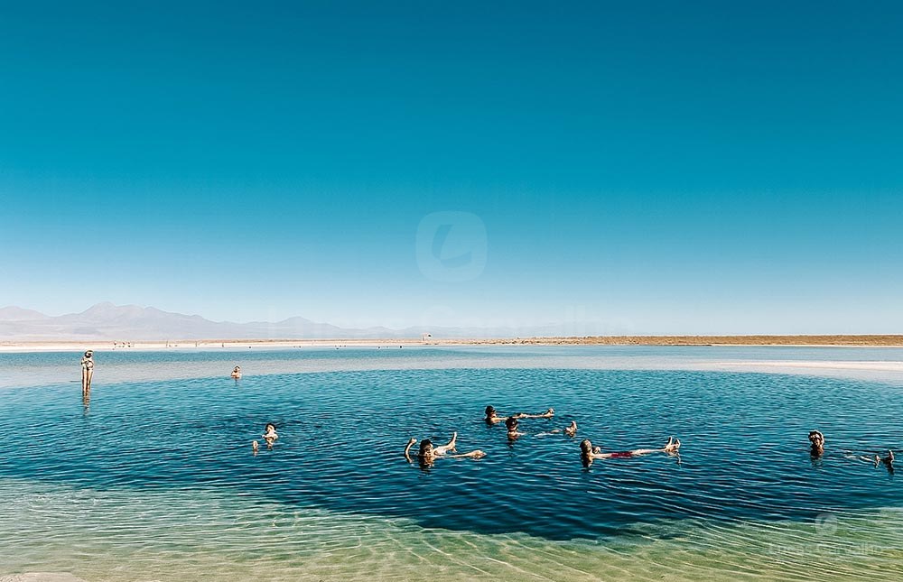 Lagunas Cejar, Tebenquiche e Ojos do Salar foto 3