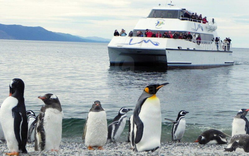 Navegação Pinguinera foto 3