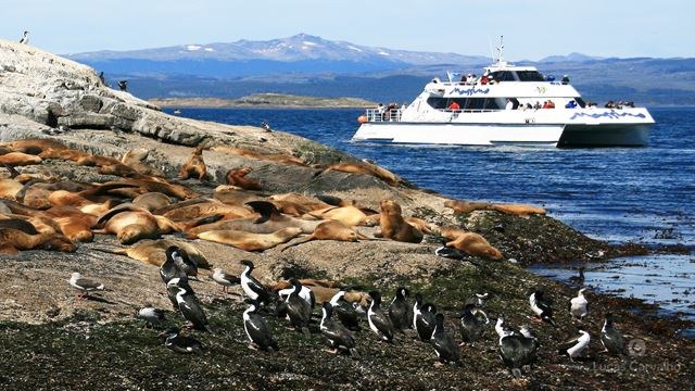 Navegação no Canal Beagle foto 1