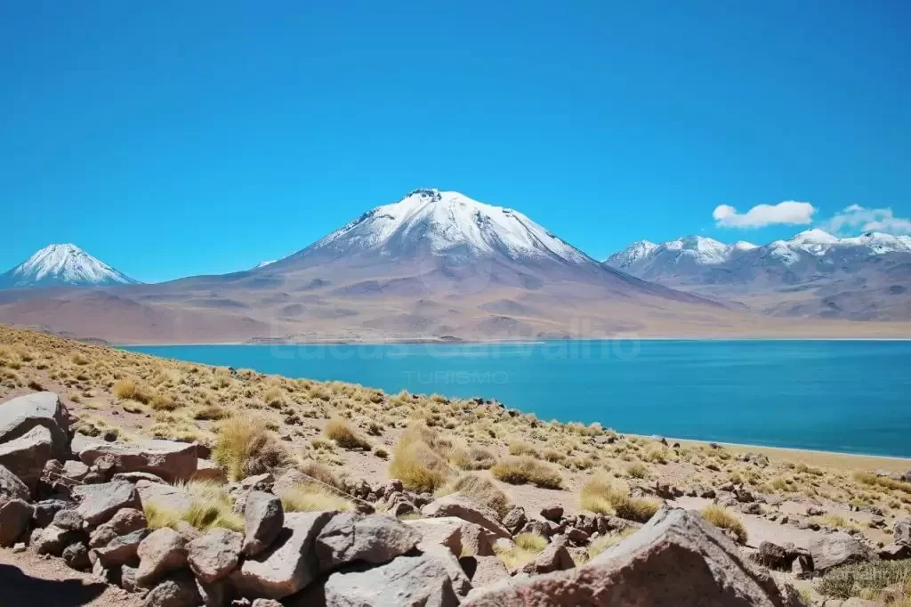Lagunas Altiplânicas e Piedras Rojas: passeio no Atacama a mais de 4.000 m foto 2