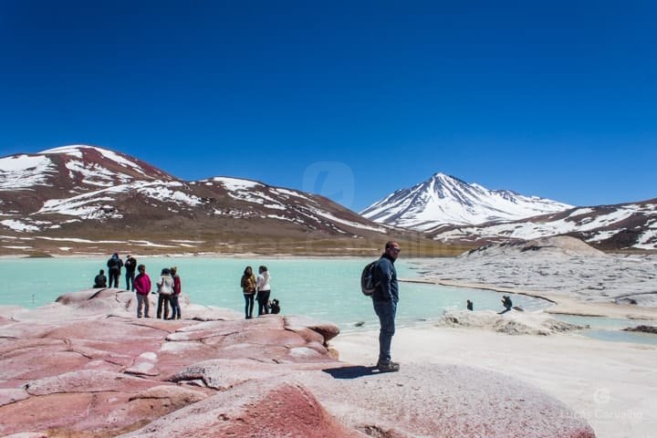 Lagunas Altiplânicas e Piedras Rojas: passeio no Atacama a mais de 4.000 m foto 1