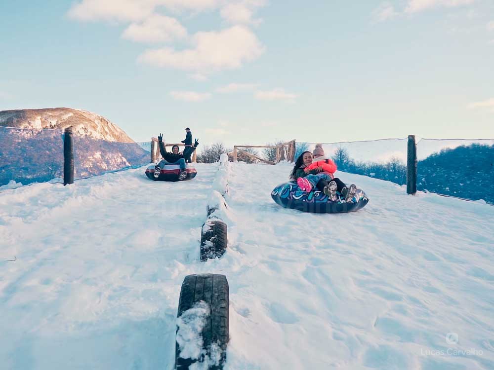 Park Austral em Ushuaia: Premier Pass de 2 dias com moto de neve e huskies foto 3