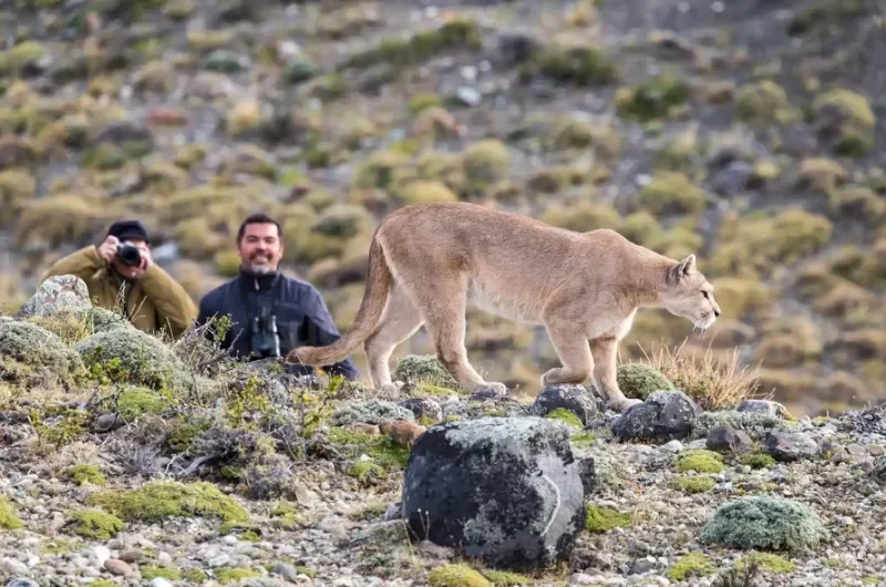 Tour e Avistamento de Fauna