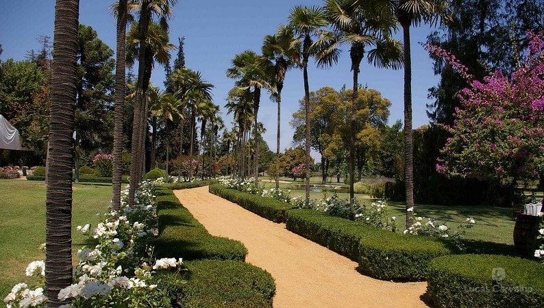 Vinícola Undurraga foto 2