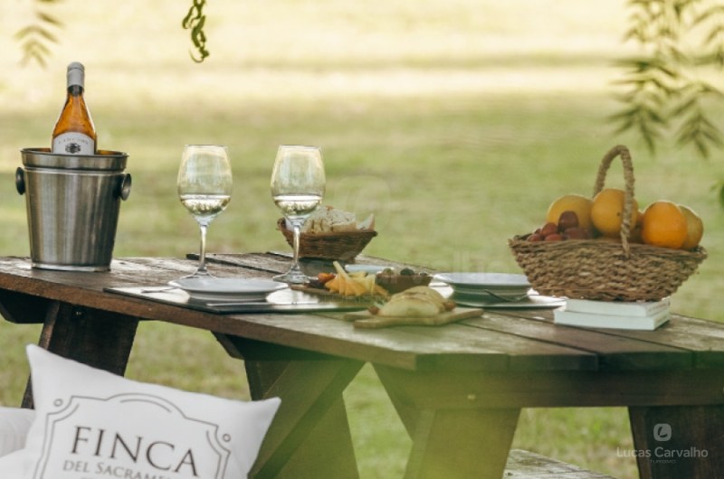 Colônia Wine Experience