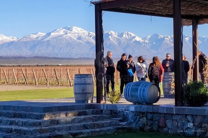 Gin e vinhos em Luján de Cuyo foto 3