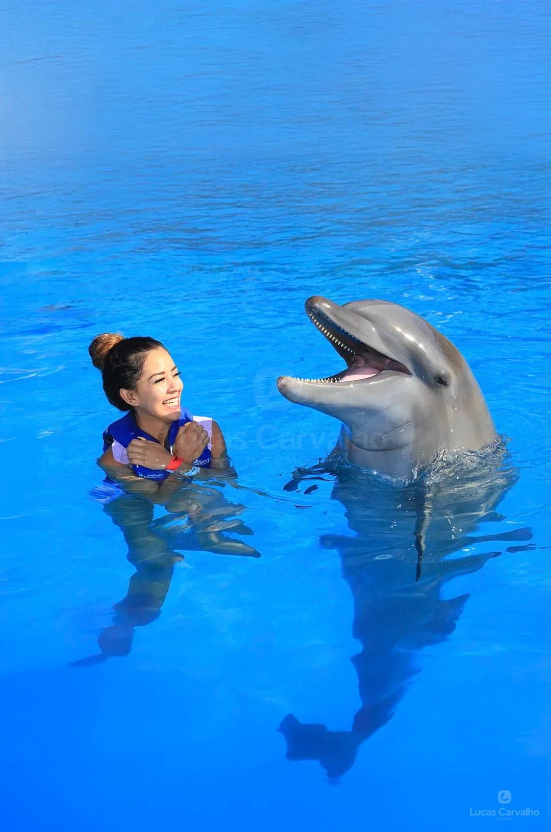 Dolphin Swin Action foto 2