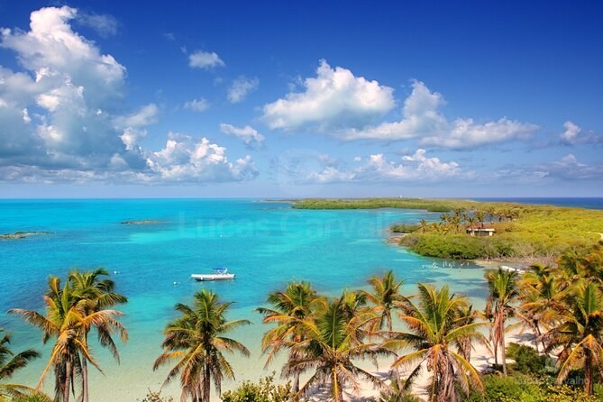 Isla Contoy e Isla Mujeres foto 2