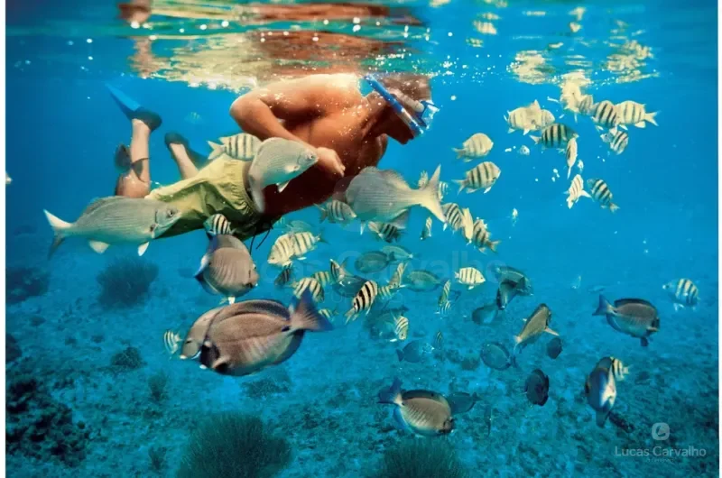 Amanhecer com Snorkel