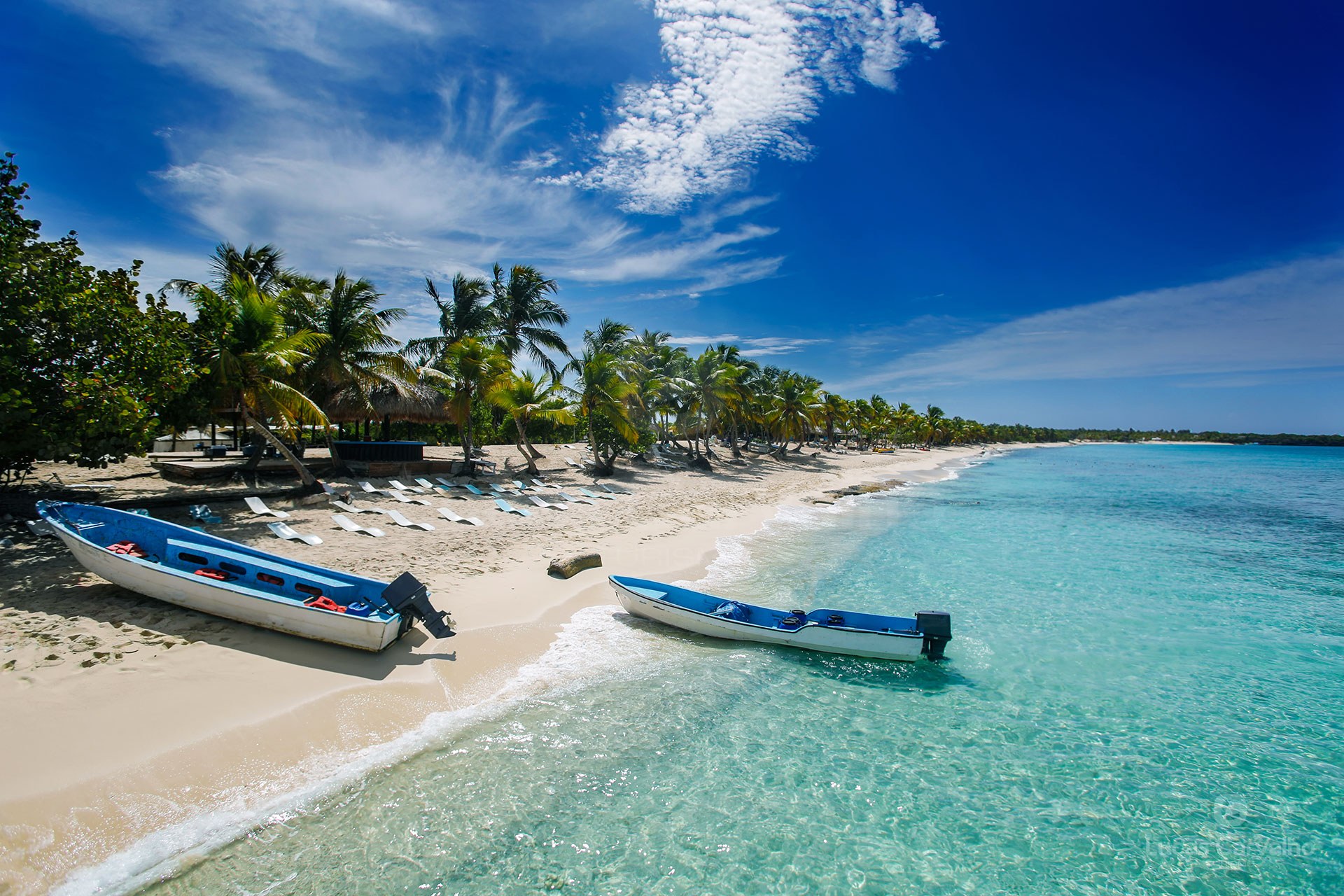 Isla Catalina em Punta Cana: snorkel, praia, almoço e bebidas incluídas