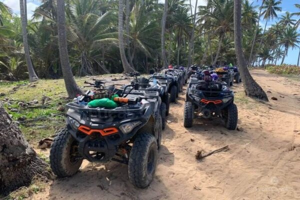 Tropical Quads foto 1