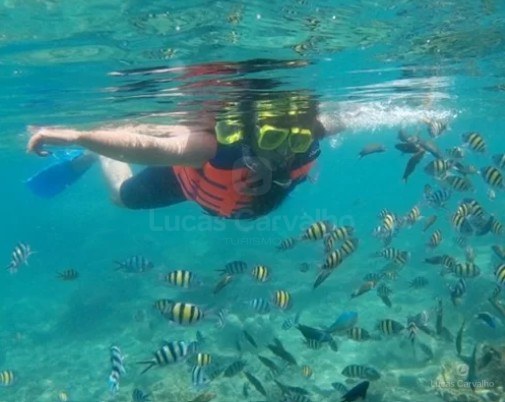 Mergulho com Snorkel foto 3
