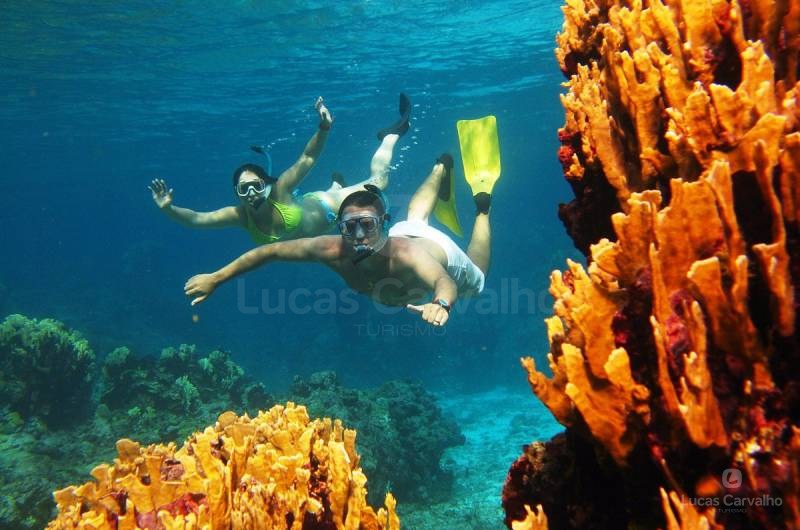 Mergulho com Snorkel foto 4