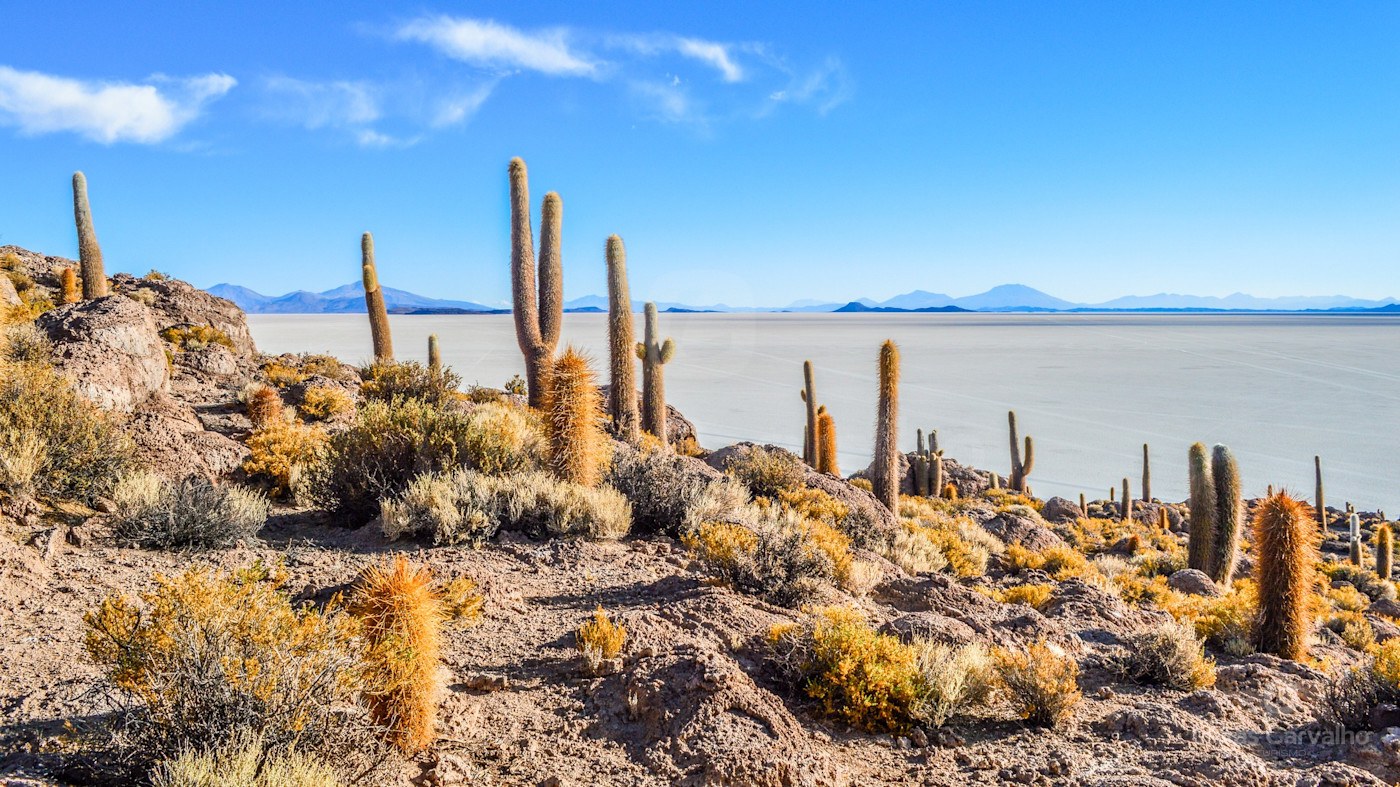 Uyuni Privado (4D3N): 4 pessoas