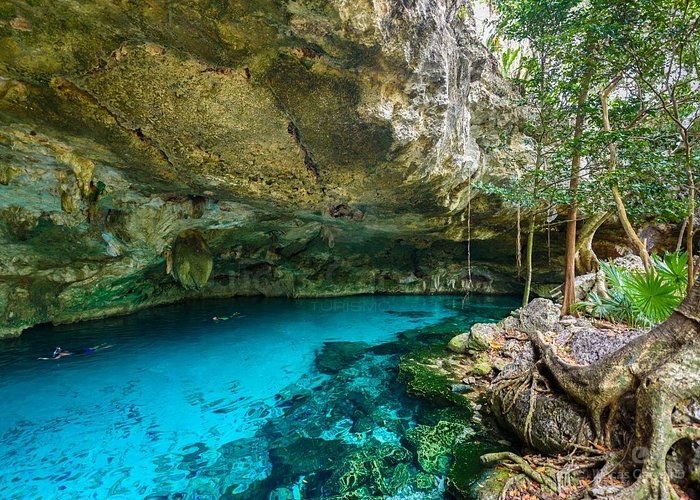 Cenotes Ojos Indígenas + Avistamento de Animais foto 1