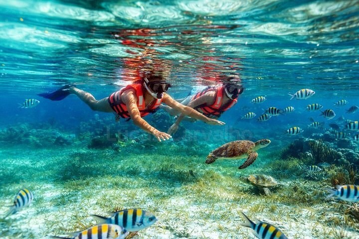 Amanhecer com Snorkel foto 1
