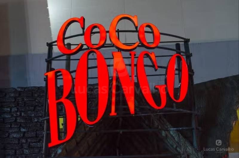 Cocobongo Cancun: Regular