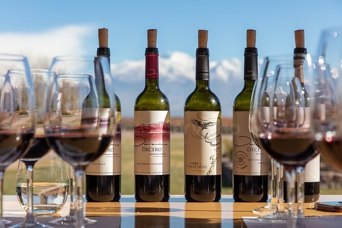Gin e vinhos em Luján de Cuyo foto 1