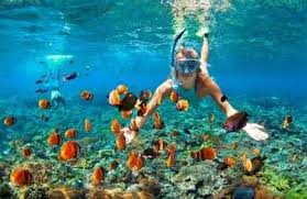 Amanhecer com Snorkel foto 2