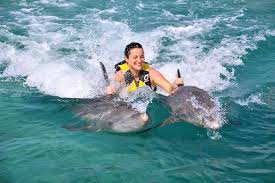 Dolphin Swin Action foto 3