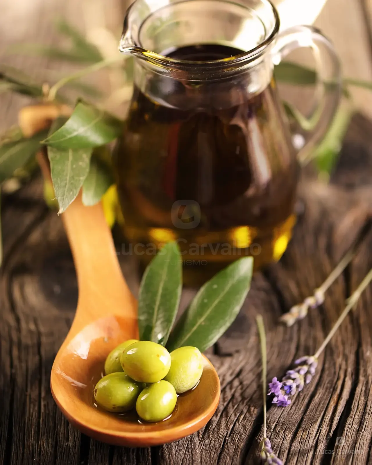 Vinhos e Oliveiras foto 2