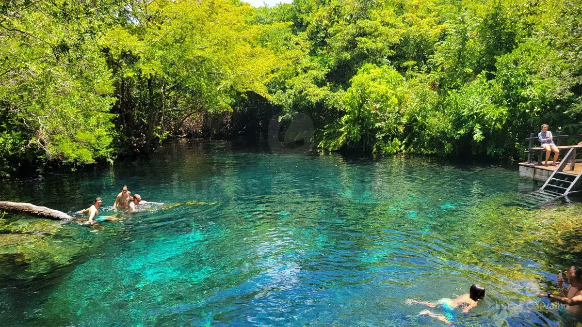 Cenotes Ojos Indígenas + Avistamento de Animais foto 3
