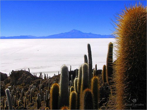 Uyuni Compartilhado (4D3N) foto 2