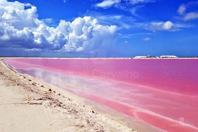 Rio Lagartos e Las Coloradas foto 1
