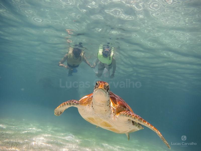 Snorkel Discorevy
