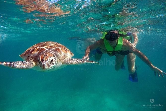 Tulum, Akumal e Cenote