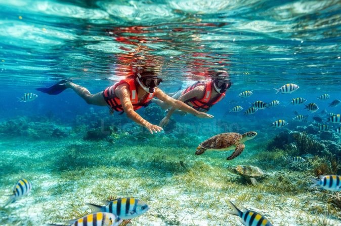 Snorkel Discorevy foto 3