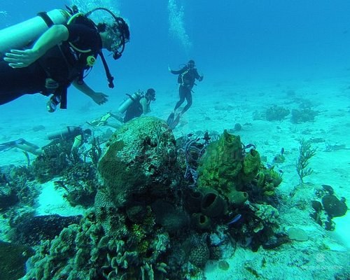 Mergulho em Cozumel