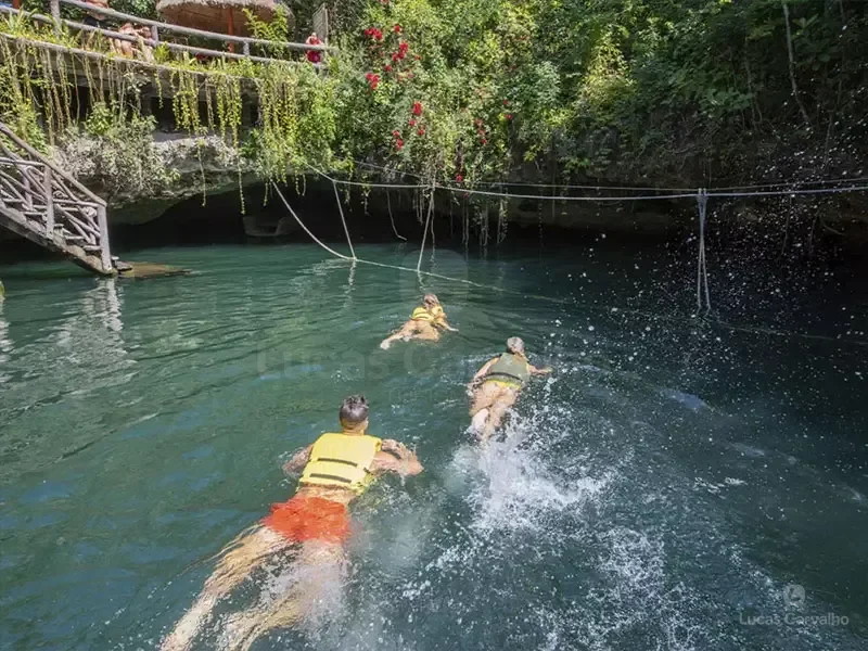 Selvatica foto 2