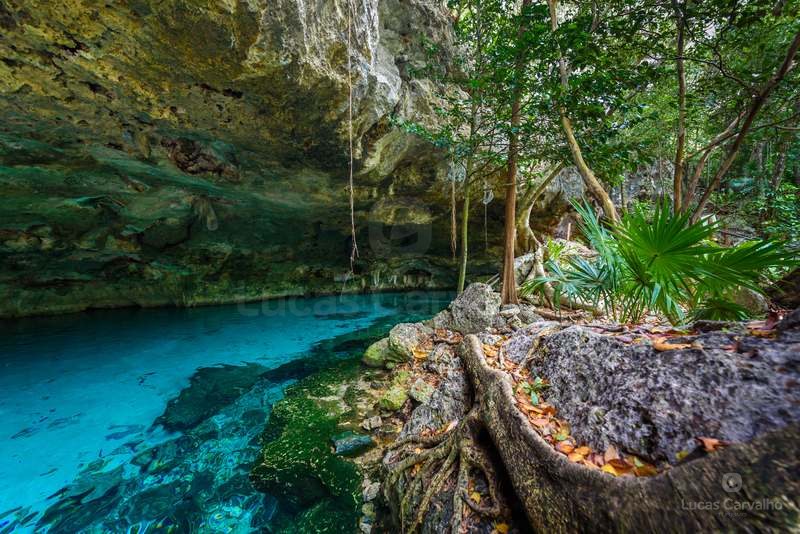 Tulum, Cenote e Playa del Carmen foto 2