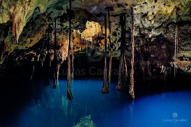 Xenotes foto 3