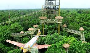 Selvatica