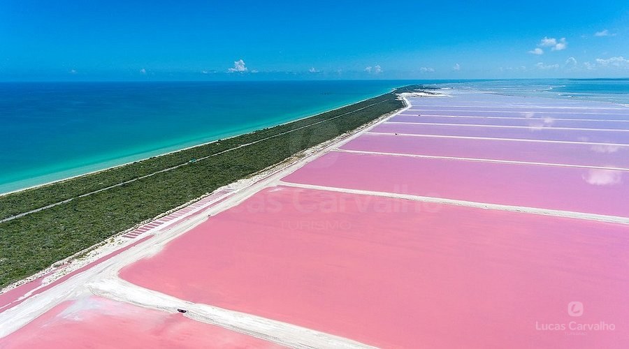 Rio Lagartos e Las Coloradas foto 3