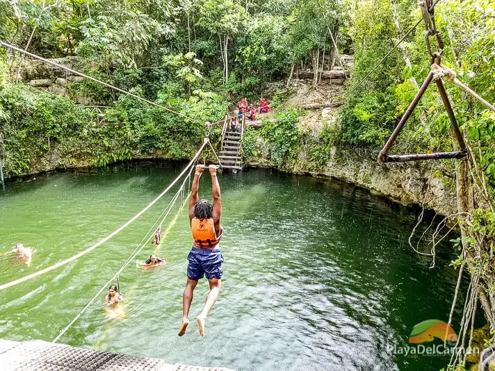 Selvatica foto 3